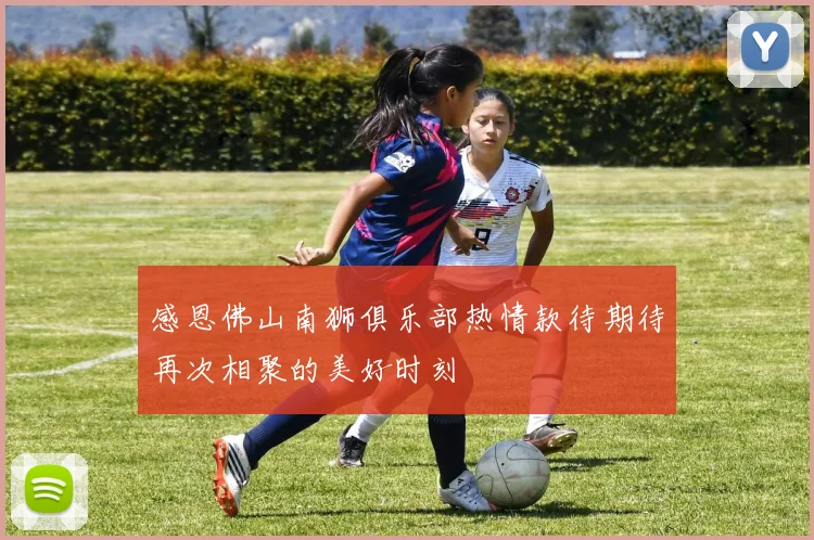 感恩佛山南狮俱乐部热情款待期待再次相聚的美好时刻