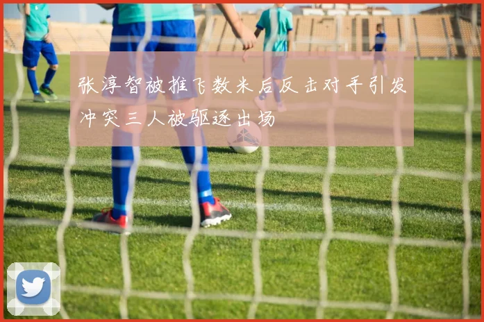 张淳智被推飞数米后反击对手引发冲突三人被驱逐出场